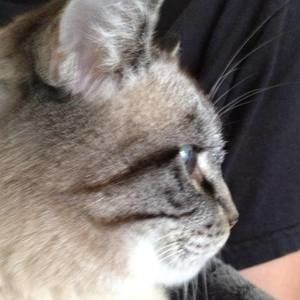 Meet your Posher, Barbara